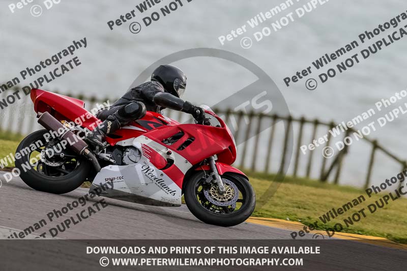PJ Motorsport 2019;anglesey no limits trackday;anglesey photographs;anglesey trackday photographs;enduro digital images;event digital images;eventdigitalimages;no limits trackdays;peter wileman photography;racing digital images;trac mon;trackday digital images;trackday photos;ty croes